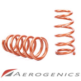 Aerogenics x Swift / Heavy Duty Rear Springs - 02-06 Honda CRV